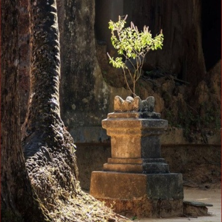 Rajasthan shrine